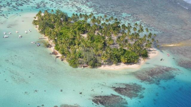 Pension Hibiscus Tahaa Uturoa Eksteriør billede